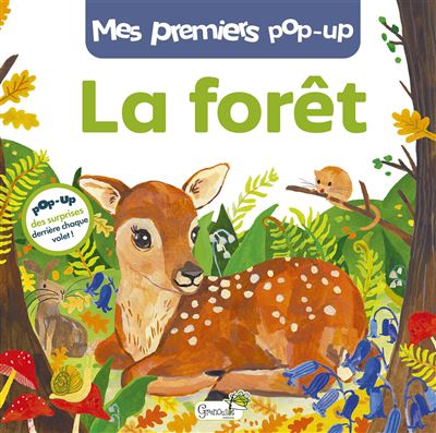 La forêt - Celia Moncoq - cartonné