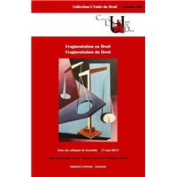 Fragmentation en droit - fragmentation du droit