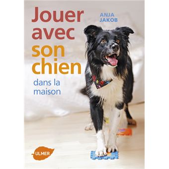 Jouer avec son chien dans la maison - 1
