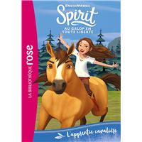 Coffret pour Spirit : Chica Linda + Cheval Brun avec sa carriole + Animaux  + Accessoires - Set Jouet Fille + 1 Carte : : Jeux et Jouets