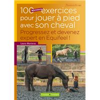 100 nouveaux exercices pour jouer à pieds avec son cheval