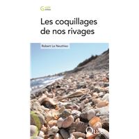 Les coquillages de nos rivages