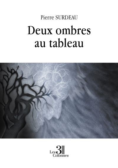 Deux ombres au tableau - Pierre Surdeau - broché