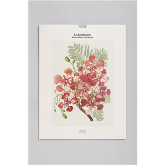 Tirage – Le flamboyant - Édition illustrée - 1