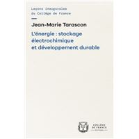 L'energie : stockage electrochimique et developpement durable