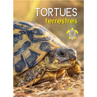 Tortues terrestres - 1