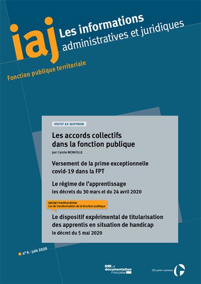 Les accords collectifs dans la fonction publique -  CIG Petite Couronne - broché