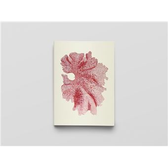 Carnet - Algues japonaises - Notes et Lectures - 1