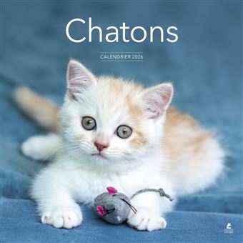 Calendrier Chatons 2026