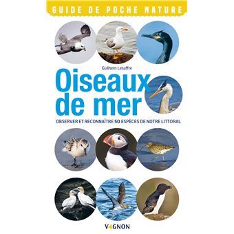 Oiseaux de mer - 1