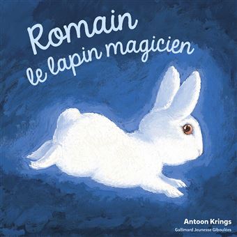 Les Drôles De Petites Bêtes - Les Drôles de Petites Bêtes - Romain le lapin magicien - 1