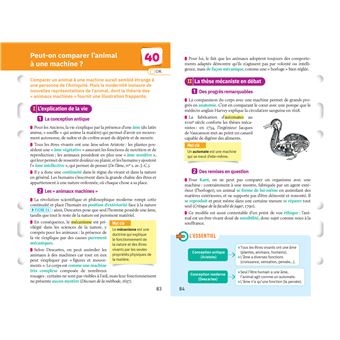 Fiches bac HLP 1re générale (spécialité)