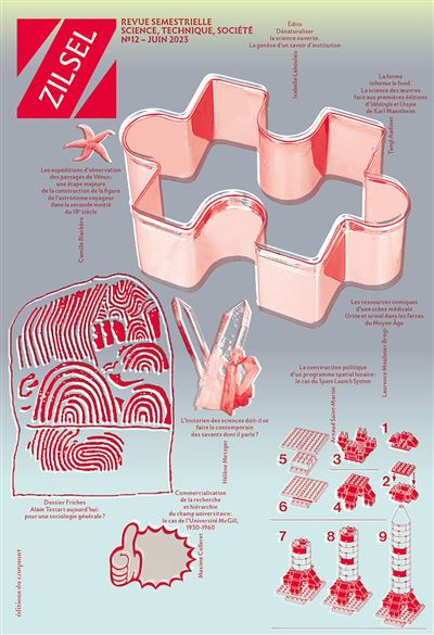Revue Zilsel n° 12 -  Collectif - broché