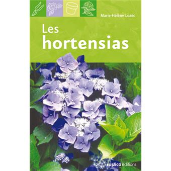 Hortensias (les) - 1