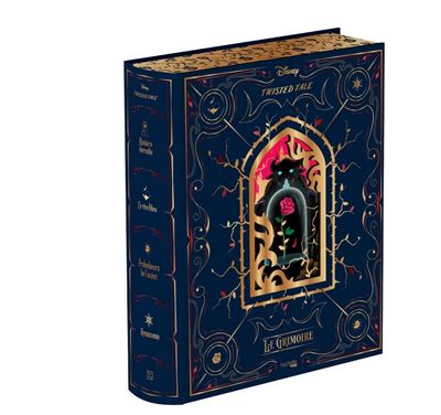 Grimoire Twisted Tale - Liz Braswell - Hachette Heroes - relié - Roman adolescent