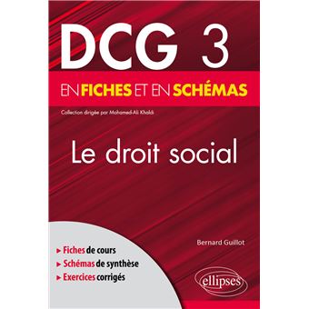 DCG 3 - Le Droit social en fiches et en schémas - broché - Bernard ...