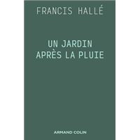 Un jardin après la pluie