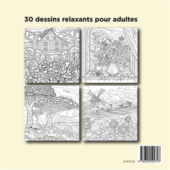 Livre de coloriage paysages relaxants, Cahier de dessins anti-stress pour  adultes - Zen Color - Nouvelle librairie sétoise