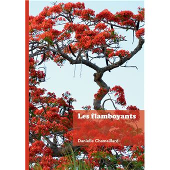 Les flamboyants - 1