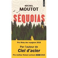 critique de Ciel d'acier, dernier livre de Michel Moutot - onlalu