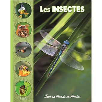 Les insectes - 1