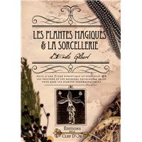 Histoire de la sorcellerie - Éditions Tallandier