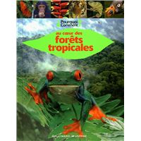 Au cœur des forêts tropicales