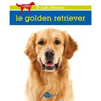 Le golden retriever - 1