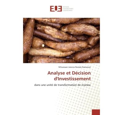 Analyse et Décision d'Investissement - N'Guessan Léonce Roméo Kamenan - Universitaires Europeennes - broché - Essai