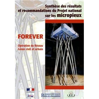 Forever (FOndations REnforcées VERticalement) - 1