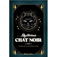 Mystérieux chat noir