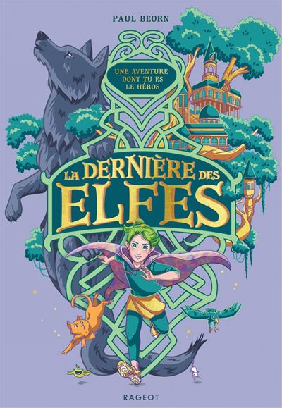 couverture de : La dernière des elfes