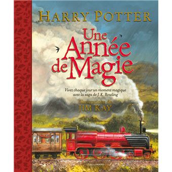Harry Potter - HARRY POTTER UNE ANNEE DE MAGIE - 1