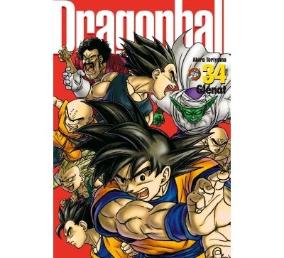 Dragon Ball perfect edition - Tome 34