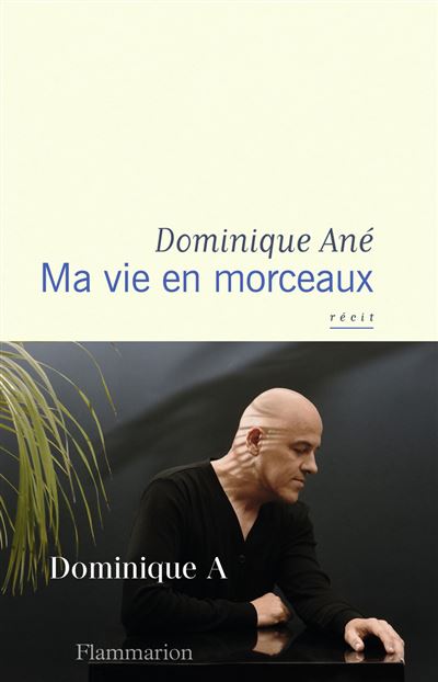 Ma vie en morceaux