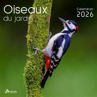 Calendrier Mural 2026 - Les Plus Beaux Oiseaux Du Monde - 12 Mois Avec Photos Spectaculaires - 7