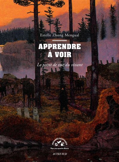 Apprendre à voir