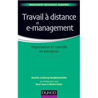 Travail à distance et e-management