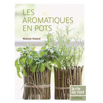 Les aromatiques en pots - 1