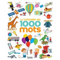 Le Larousse des 1 000 mots NE