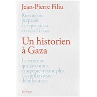 Un historien à Gaza