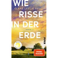 Wie Risse in der Erde