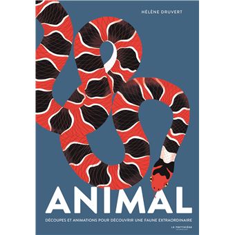 Animal - 1