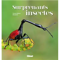 Surprenants insectes