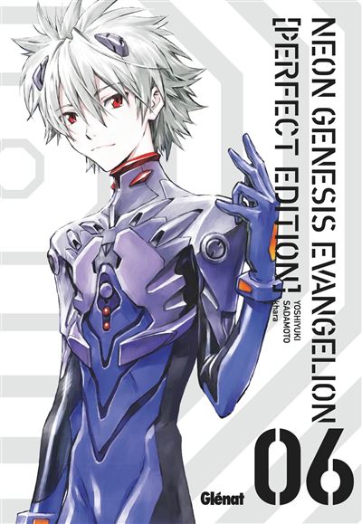 Vol.6 Neon Genesis Evangelion - Perfect Edition