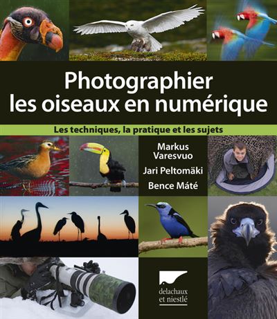 Photographier les oiseaux en numérique