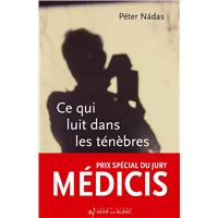 Ce qui luit dans les ténèbres - Prix spécial du jury Médicis 2025