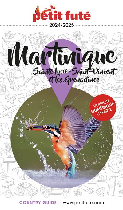 Martinique : Sainte Lucie - Saint-Vincent et les Grenadines 2024-2025 Petit Futé - Dominique Auzias, Jean-Paul Labourdette (2024)