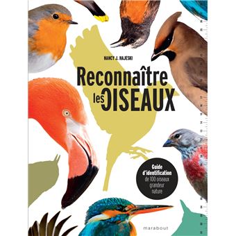 Reconnaître les oiseaux - 1