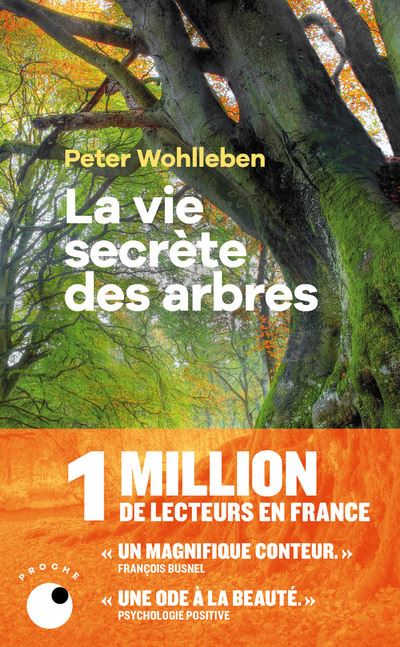 La Vie secrète des arbres - Peter Wohlleben - Poche